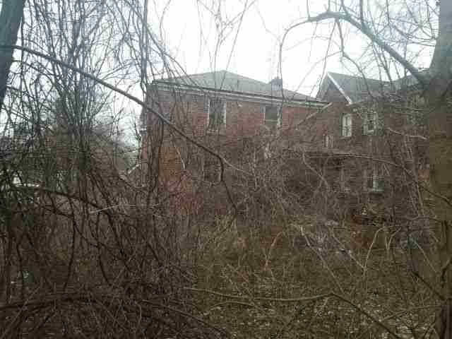 Testing again(5).jpg